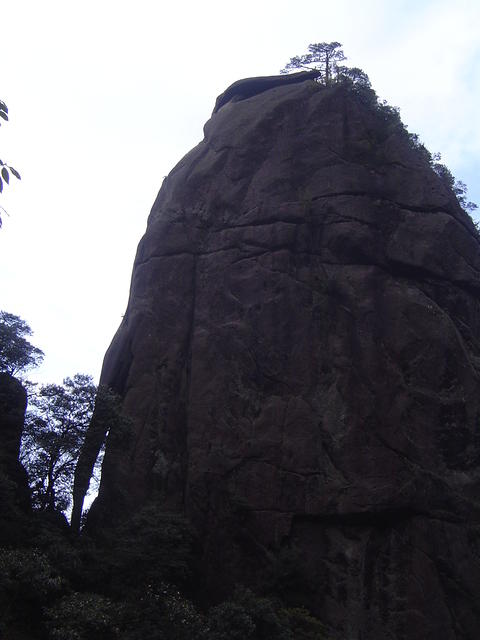 DSC01593