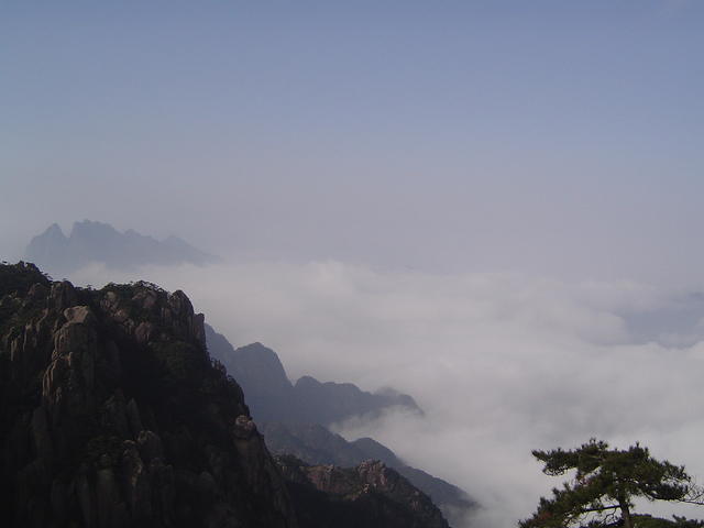 DSC01594