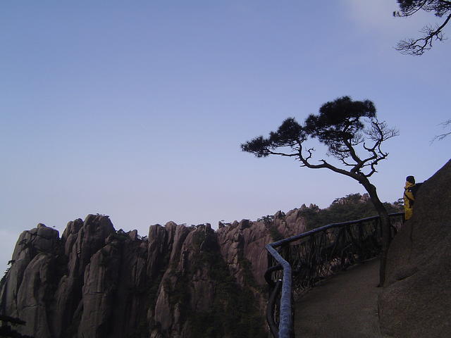 DSC01600
