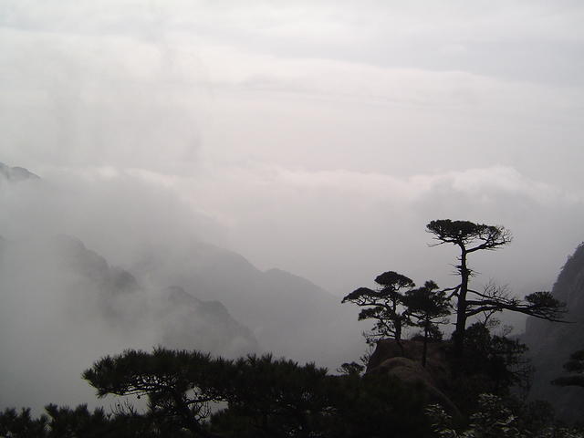 DSC01610