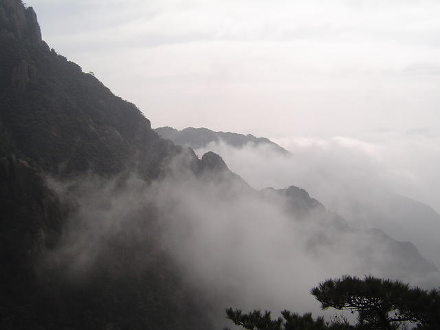 DSC01611