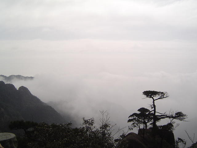 DSC01612