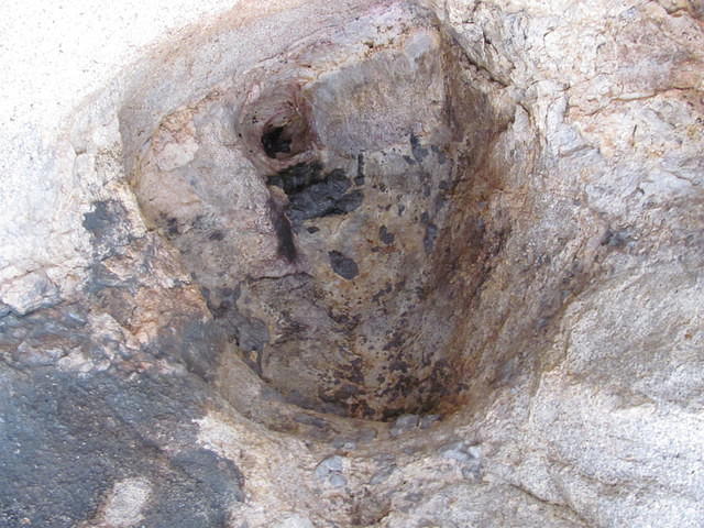 IMG 1520