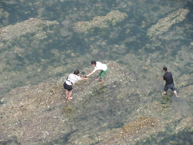 IMG 1546