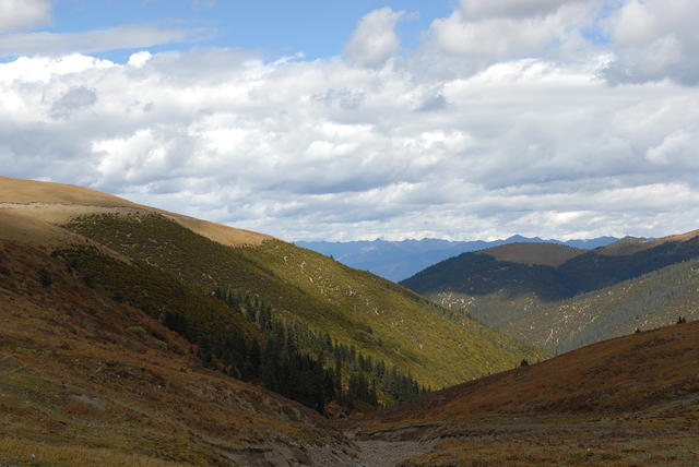 DSC 0001