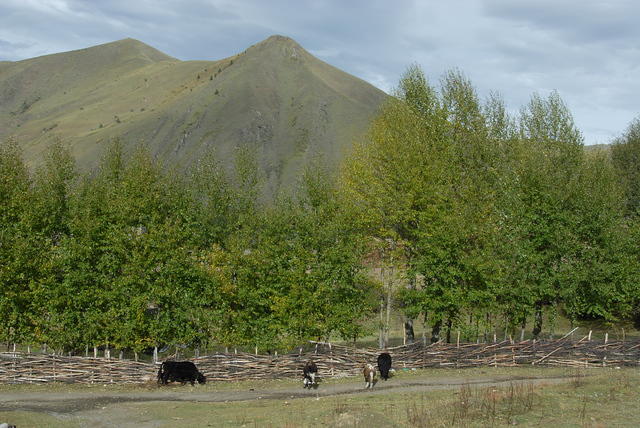 DSC 0005