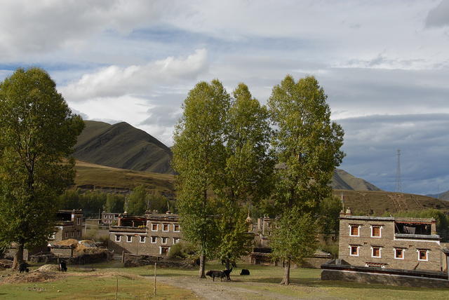 DSC 0007