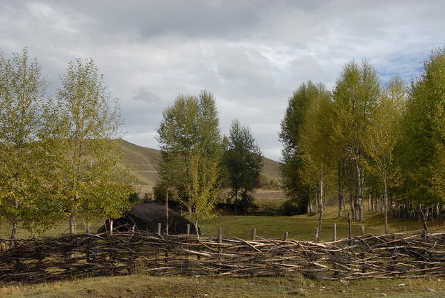 DSC 0008