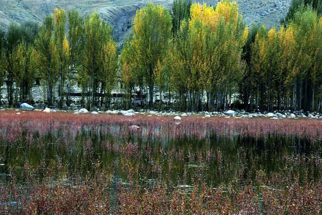 DSC 0009
