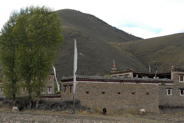 DSC 0013
