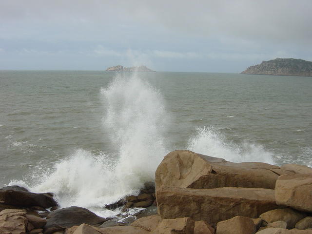 DSC06617