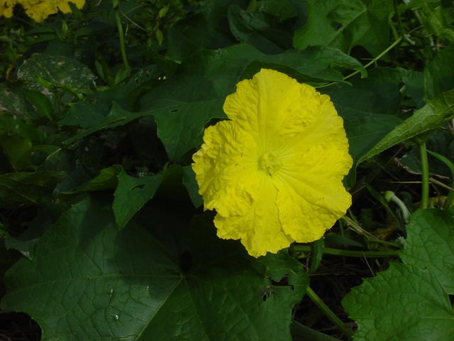 DSC06632