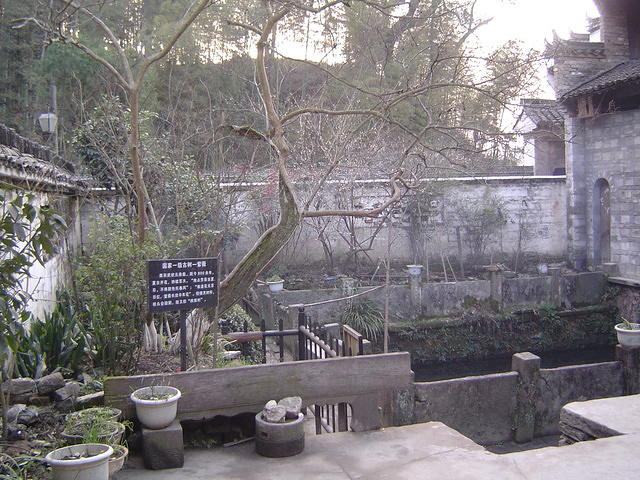 DSC01451