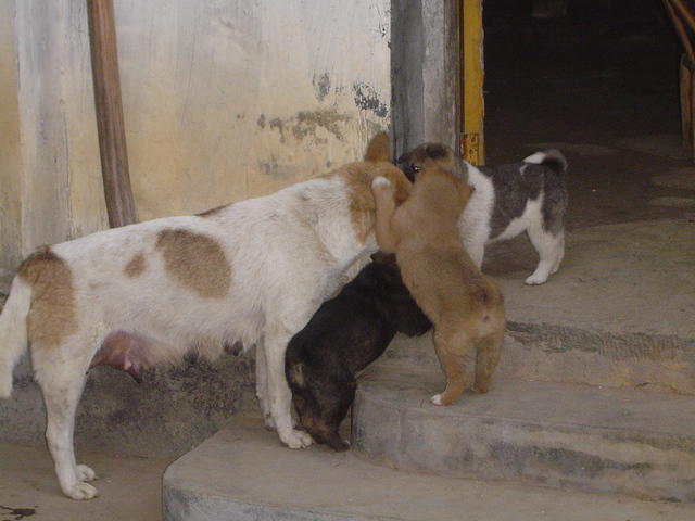 DSC01458