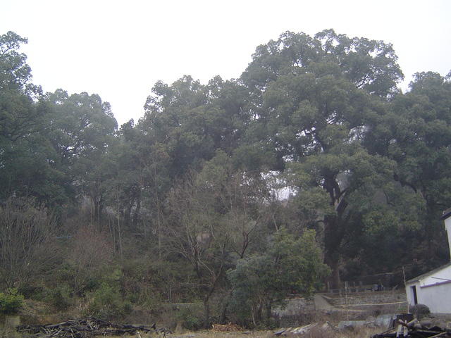 DSC01472