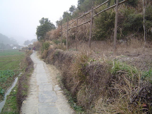 DSC01478