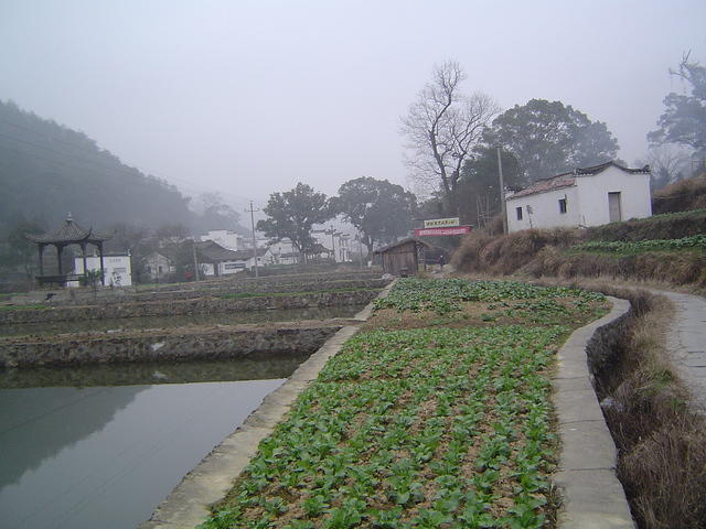 DSC01480