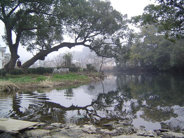 DSC01484