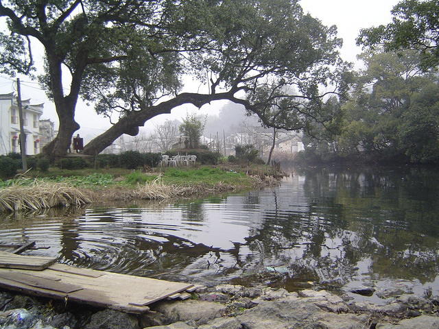 DSC01485