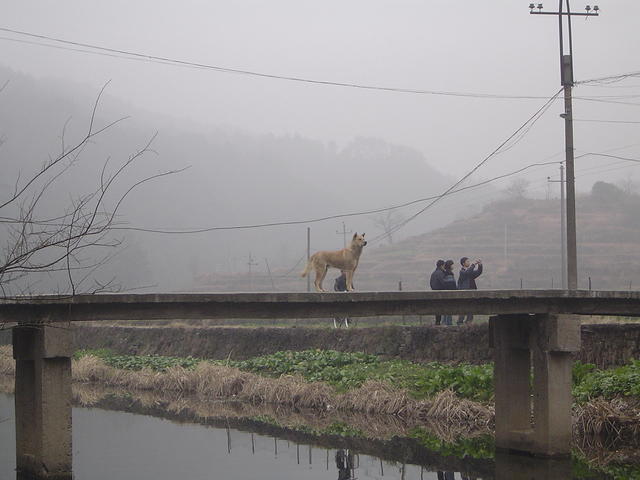DSC01488