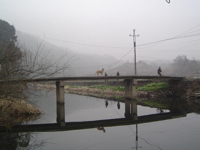 DSC01489