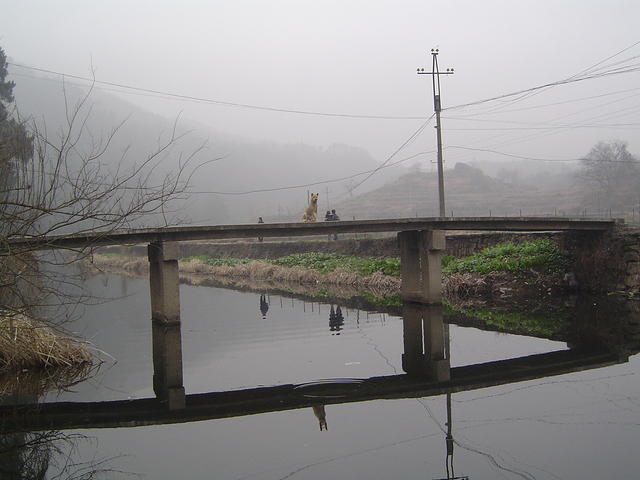 DSC01490