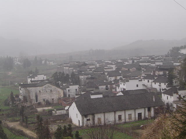 DSC01502