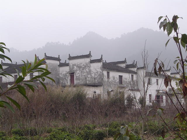 DSC01504