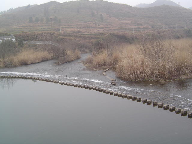 DSC01506