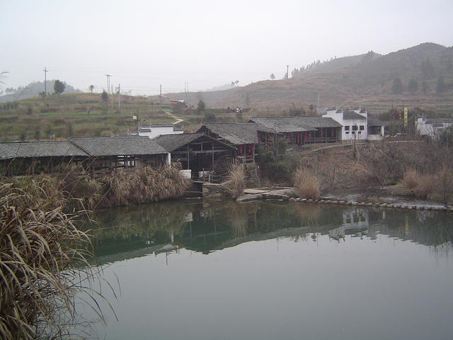 DSC01513