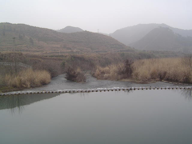 DSC01514