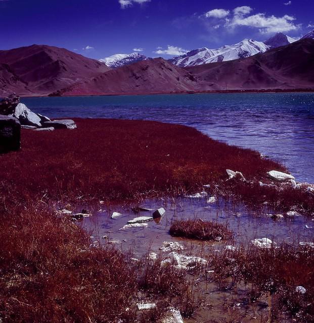 Big Dragon Lake & Small Dragon Lake 1 (22)
