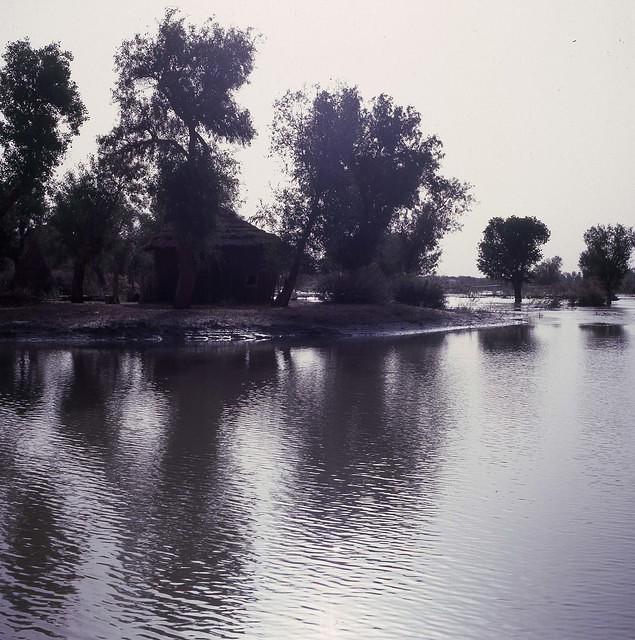 Boshiteng Lake (6)