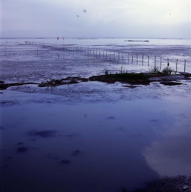Boshiteng Lake (8)