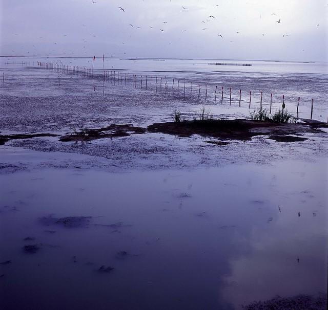 Boshiteng Lake (9)