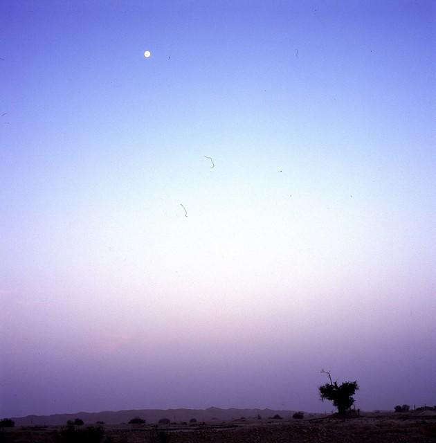 Desert Freeway (1)
