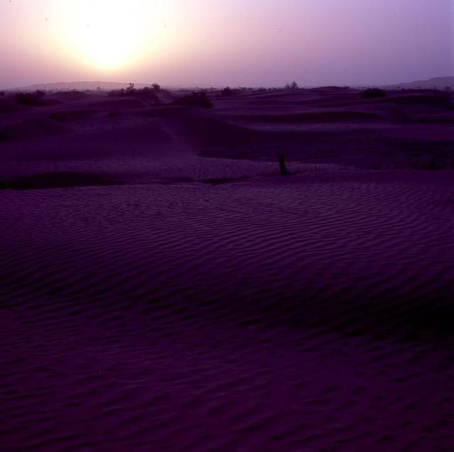 Desert Freeway (2)