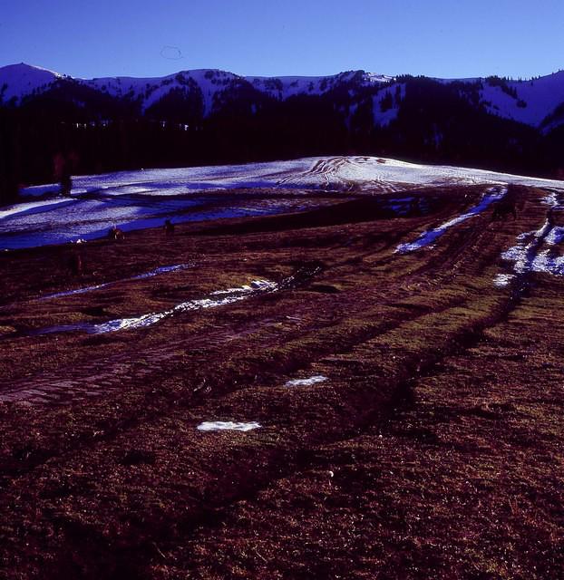 Nalati 1 (5)