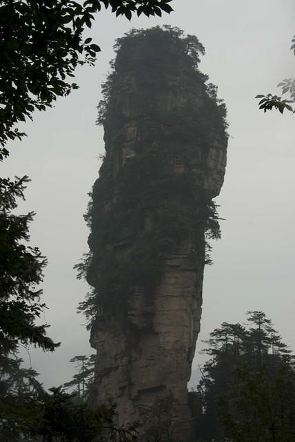  DSC0873