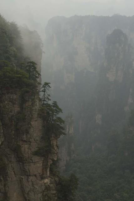  DSC0875