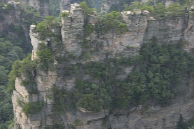  DSC0967