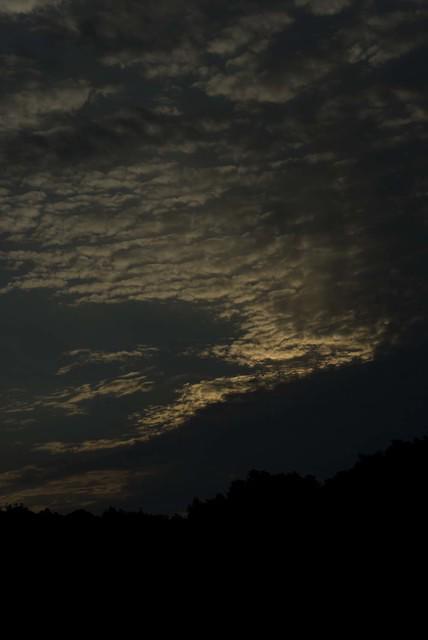  DSC0979