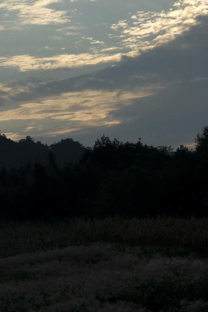  DSC0980