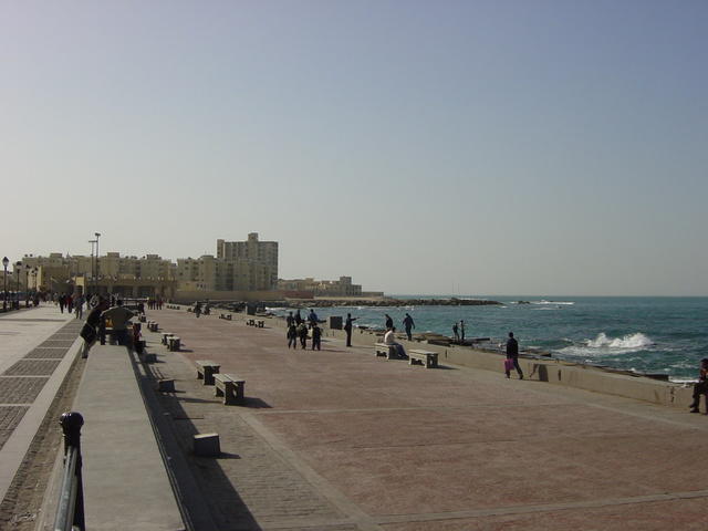 DSC03250