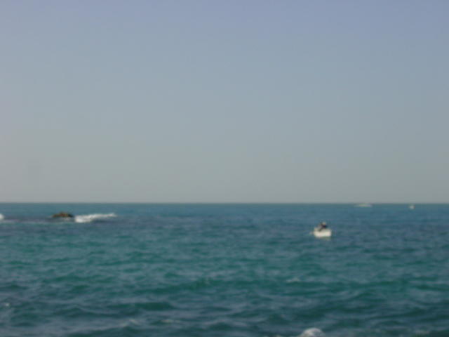 DSC03252