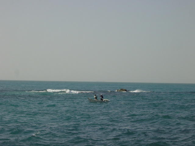 DSC03253