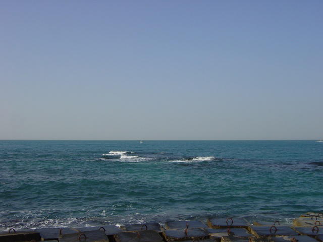 DSC03254