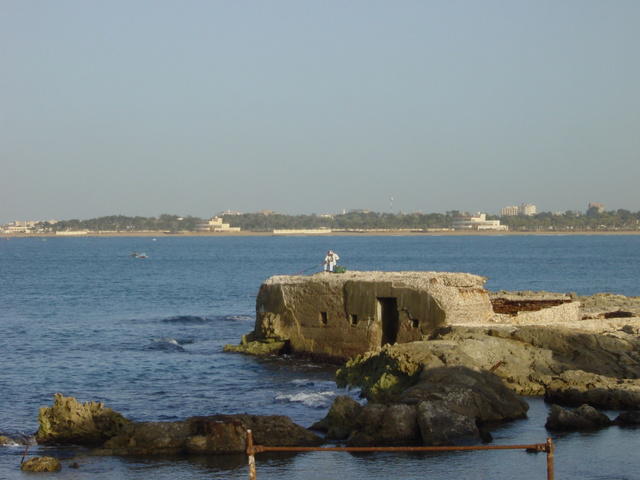 DSC03263