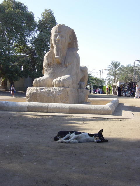 DSC03278