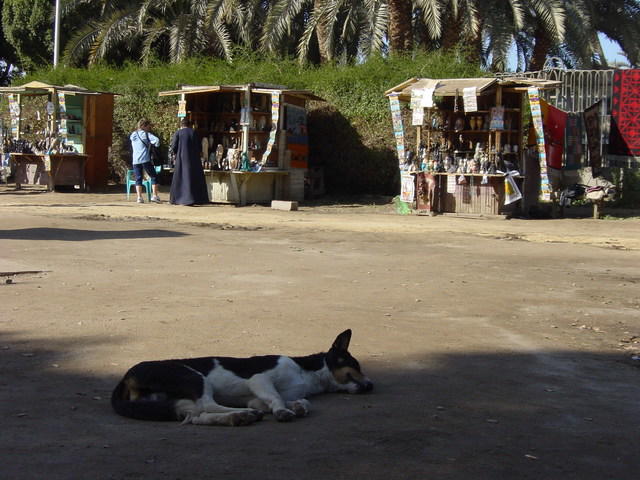 DSC03279